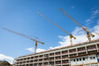© Photofex - Several tower cranes pointing in the blue clear sky on a building construction site