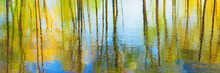 Panorama Reflection Of Trees Woods In Water During A Spring Flood. Beautiful Spring Background With Reflection In River