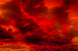 Fototapeta Zwierzęta - Red clouds in the sky. Summer sunset. Background