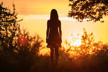 Rear View Of Young Woman In Walking Alone Through Dark Woods At Bright Sunset. Nature Exploration Concept