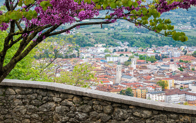 Wall Mural - Beautiful panoramic view of Trento during spring time. Trentino Alto Adige, northern Italy.