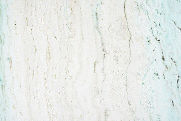 Wall Mural - grey and green concrete wall, grunge abstract background with copy
