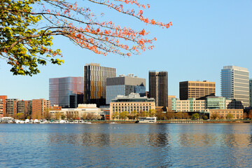 Wall Mural - Boston Charles River Esplanade on a sunny spring day with cherry blossom. The Charles River Esplanade is a public park situated in the Back Bay area of the city, on the south bank of the Charles River