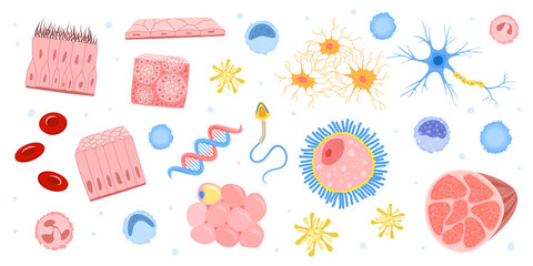 Sticker - Human Cells Bacteria Set