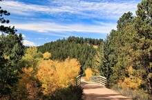 Beneath A Blue Sky With White Clouds, The George Mickelson State Trail Crosses A Small Wooden Bridge And On The Way Through Trees Of Yellow And Green In A Mountainous Section Of South Dakota.