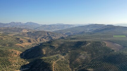 Wall Mural - survol des champs d'oliviers (oliveraies), hacienda et village blanc en Andalousie dans le sud de l'Espagne