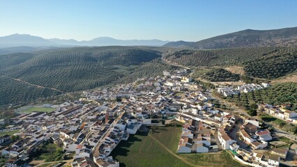 Wall Mural - survol des champs d'oliviers (oliveraies), hacienda et village blanc en Andalousie dans le sud de l'Espagne