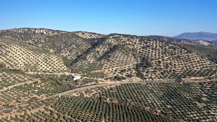 Wall Mural - survol des champs d'oliviers (oliveraies), hacienda et village blanc en Andalousie dans le sud de l'Espagne