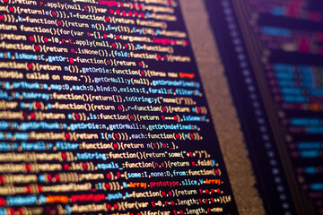 The software developer does the javascript coding. The programmer is doing web frontend coding. With selective focus
