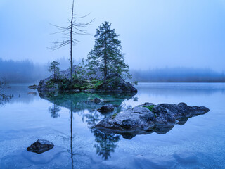 Wall Mural - lake hintersea, germany. landscape during fog. lake and trees. reflection on the water surface. high