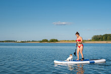Dog Jack Russell Terrier Swims On The Board With The Owner. A Woman And Her Pet Spend Time Together At The Lake