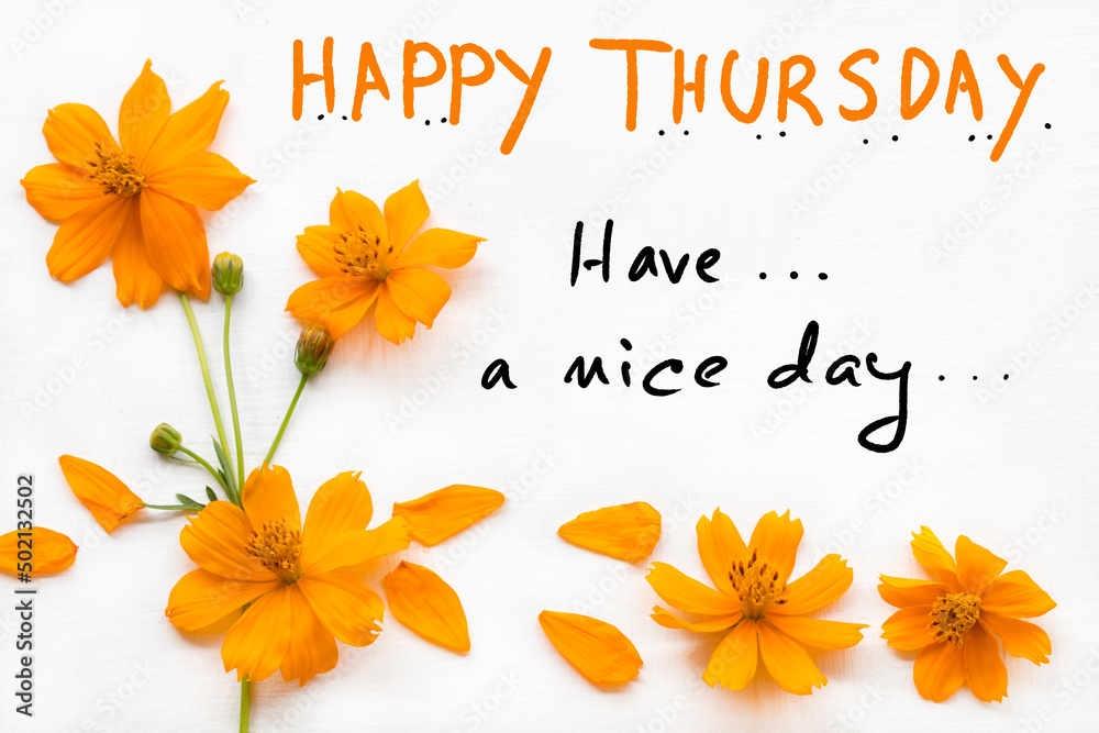 happy thursday have a nice day message card handwriting with orange cosmos flowers arrangement flat lay postcard style on background white