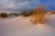 Plaża nad  Bałtykiem,wydma,  biały piasek ,trawa 