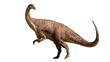 Plateosaurus, dinosaur from 214 to 204 million years ago, isolated on white background