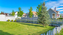 Panorama Whispy White Clouds White Picket Fence Of A Yard With Green Lawn And Pine Tree At Daybreak, Utah