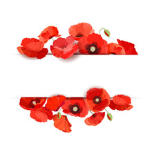 Set Of Banners With Red Poppies On A White Background. Template Design For Greeting And Invitation Cards, Sales, Decorations. Vector Illustration