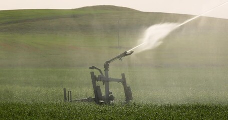 Wall Mural - Closeup of Guns Sprinkler Irrigation System Watering Wheat Field