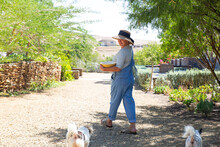 Woman Looking At Pet Dogs Walking In Garden On Sunny Day
