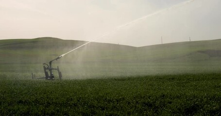 Sticker - Guns Sprinkler Irrigation System Watering Wheat Field