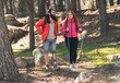© Westend61 - Smiling disabled man talking with girlfriend standing with hiking pole in forest