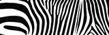 Fototapeta Konie - Zebra Motifs Pattern. Vector Illustration