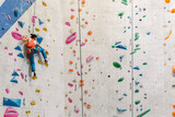 Fototapeta Zwierzęta - Young Woman rock climbing indoors.