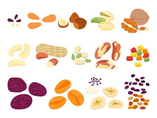 Wall Mural - Dried fruits nuts and seed. Crunchy snack mix, various natural food, nuts and sunflower seeds. Different chips, almond, pistachio, cereal decent vector set
