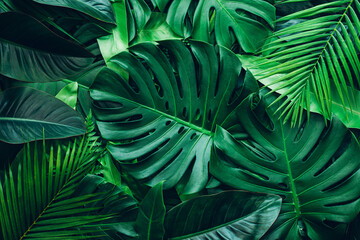 Wall Mural - closeup nature view of palms and monstera and fern leaf background. Flat lay, dark nature concept, tropical leaf.