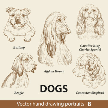 Set of hand drawing dogs part 8 vector illustration