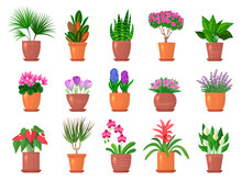 Flowers Pots. Colored Nature Collections Of Leaves And Flowers For Interior Decorated Recent Vector Templates Set