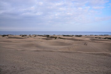 Wall Mural - Desert with sand dunes in Gran Canaria Spain