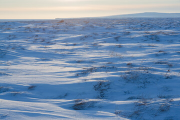 Wall Mural - Snow-covered tundra. Winter arctic landscape. Cold frosty winter weather. The harsh climate of the polar region. Pristine northern nature. Chukotka, the Far North of Russia.