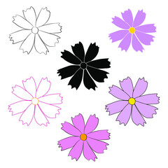 Wall Mural - Set of cosmos flower branch vector simple illustration isolated on white background. Black outline hand drawn sketch and colored version. Floral vector for childrens illustration, summer design.