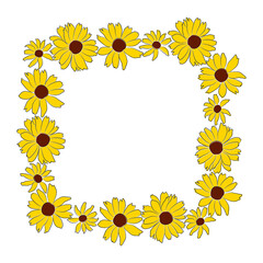 Wall Mural - Border of open heliopsis blossom vector color illustration isolated on white background. Vector sketch style top view hand drawing of wild, heliopsis, false sunflower.