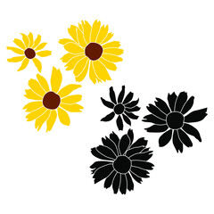 Wall Mural - Set of open heliopsis blossom vector color and silhouette illustration isolated on white background. Vector sketch style top view hand drawing of wild, heliopsis, false sunflower.