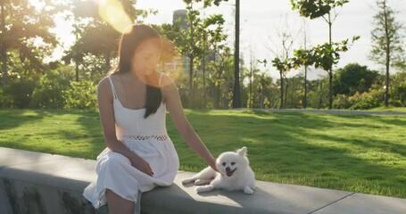 Poster - Woman go out with her pomeranian dog at park under sun flare