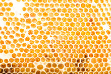 Honeycombs With Fresh Golden Honey Close-up As Background.