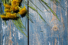 Flowers On A Wooden Background