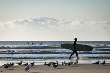 Surfer With Board And Seagulls On The Beach