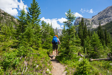 Wall Mural - Hike in mountains