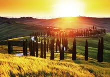 Scenic Sunset Over Baccoleno, One Of The Most Iconic Landscapes With Cypresses In Tuscany, Near The Town Of Asciano, Province Of Siena, Italy