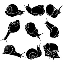 Grape Snails Silhouette Set, Crawling Animals Or Popular Delicacies