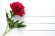 Sprig of red peony on a white wooden background. White wooden planks and red large flower top view. Peony pink on a white background copy space