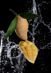 Wall Mural - mango with water splashing on black background