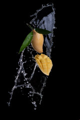 Wall Mural - mango with water splashing on black background