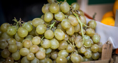 Wall Mural - fresh organic grapes at a market in Palermo Italy