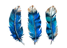 Set Of Three Jay Bird Feathers With Spots And Stripes, Watercolor Illustration Isolated On White Background