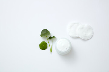 Wall Mural - Top view of gotu kola decorated with cream and cotton pad in white background 