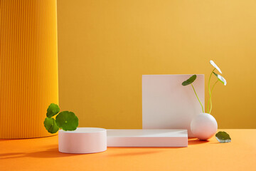 Front view of white podium with decorated with gotu kola in yellow background