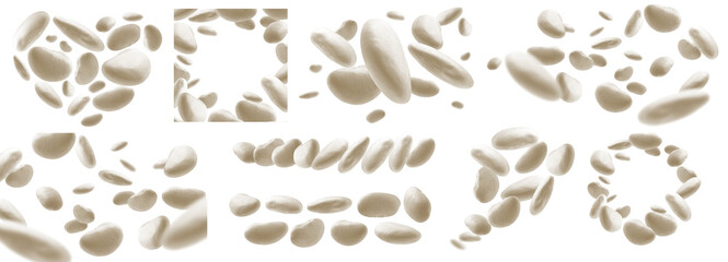 A set of photos. White beans levitate on a white background